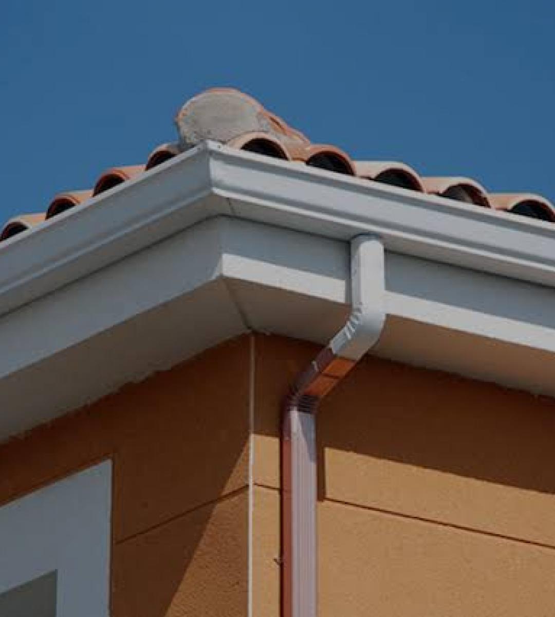 Whatsapp Image 2021 06 01 At 19.10.34 1