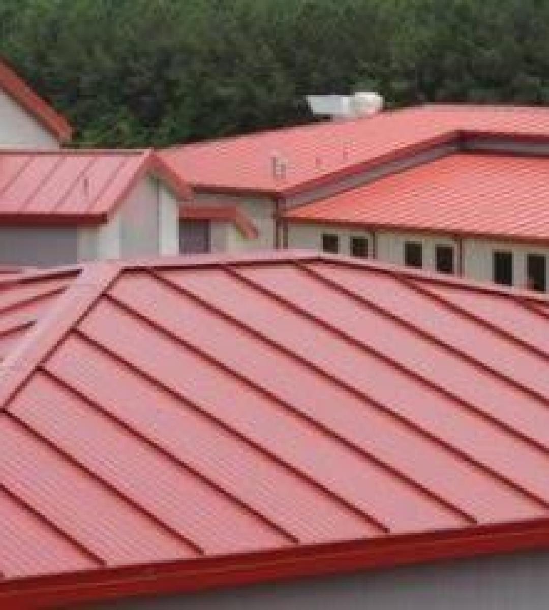 Whatsapp Image 2021 06 01 At 19.10.36 1