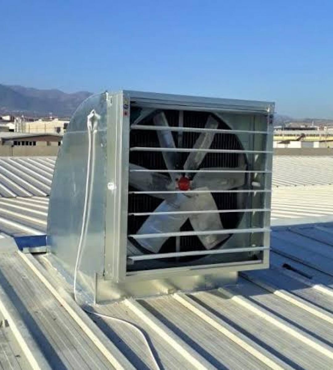 Whatsapp Image 2021 06 01 At 19.16.10